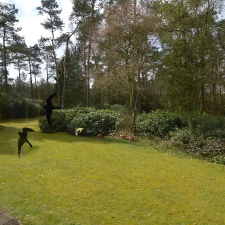 Beautiful With Garden In