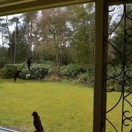 Beautiful With Garden In Huijbergen