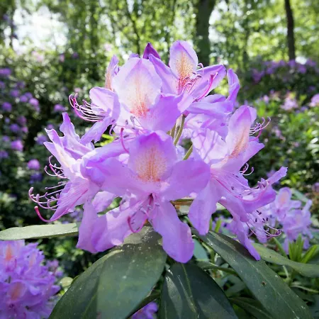Beautiful With Garden In Holiday home *