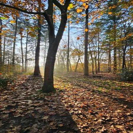 Beautiful With Garden In Huijbergen