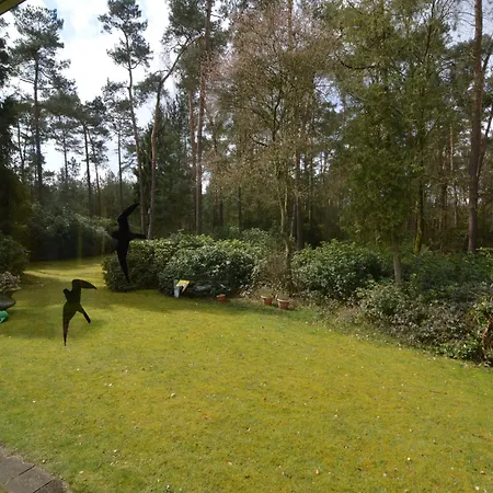 In Near Forest Casa de Férias