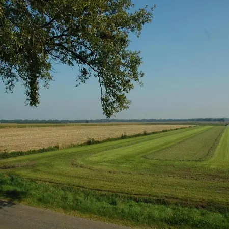 In Near Forest Casa de Férias