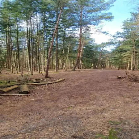 Casa de Férias In Near Forest *