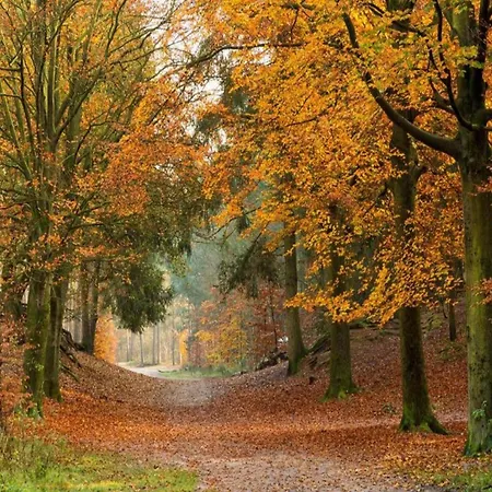 Casa de Férias In Near Forest