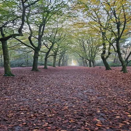 In Near Forest Casa de Férias Huijbergen