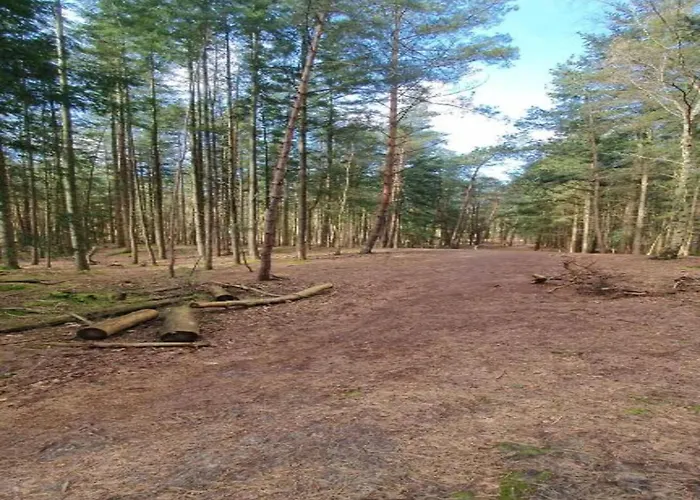 Σπίτι διακοπών In Near Forest *