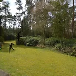 In Near Forest Feriehus