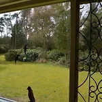 In Near Forest