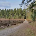 In Near Forest * Huijbergen