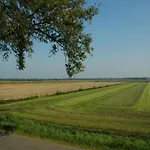 In Near Forest Feriehus