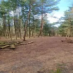 Feriehus In Near Forest *