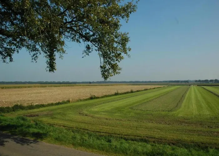 In Near Forest Vakantiehuis