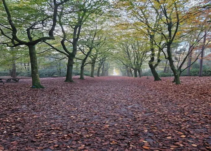 In Near Forest Vakantiehuis Huijbergen